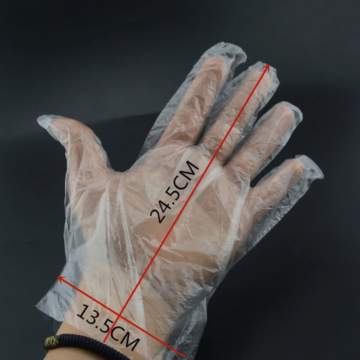 An image showing the dimensions of a disposable clear plastic glove on a hand, measuring 24.5 cm long and 13.5 cm wide