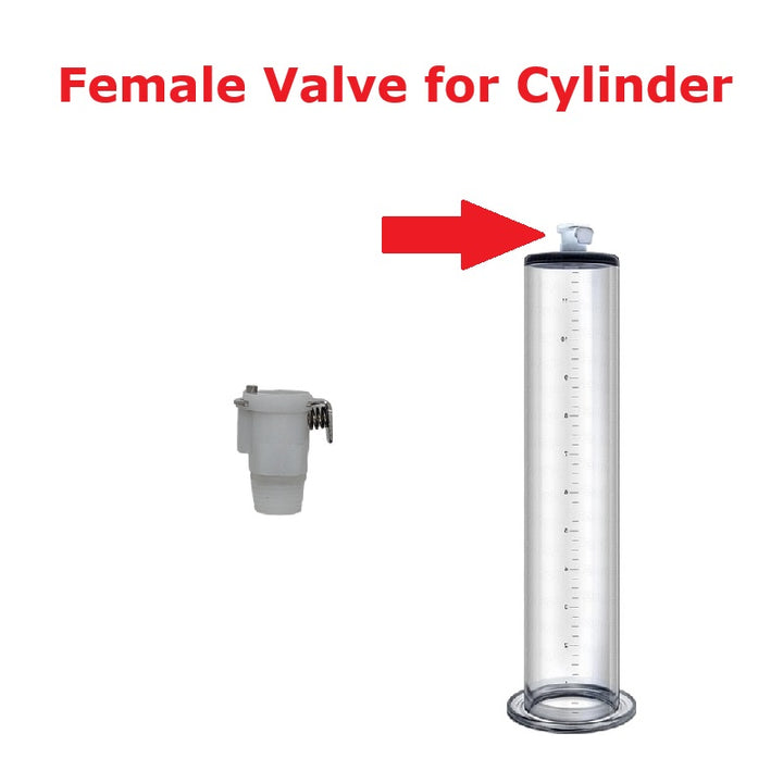 Clear cylindrical pump chamber with a female valve component and red arrow pointing to it on a white background.