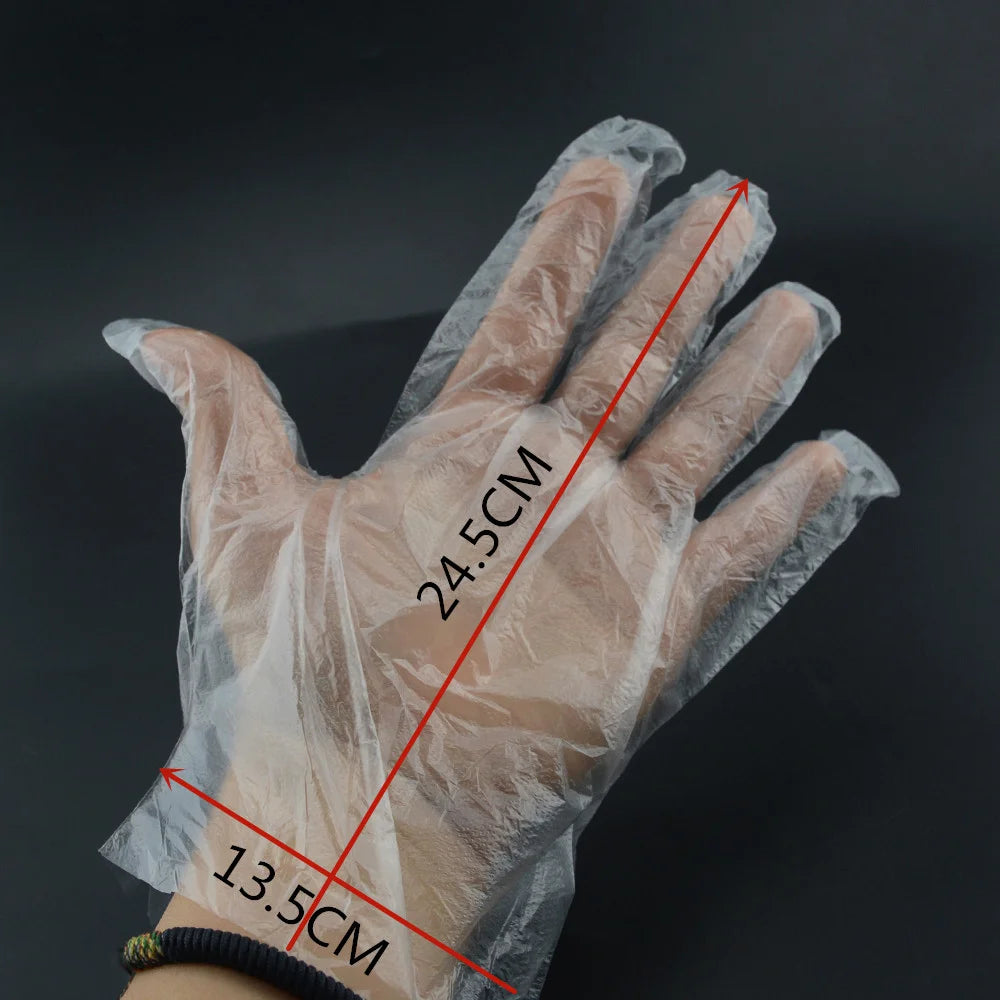 An image showing the dimensions of a disposable clear plastic glove on a hand, measuring 24.5 cm long and 13.5 cm wide
