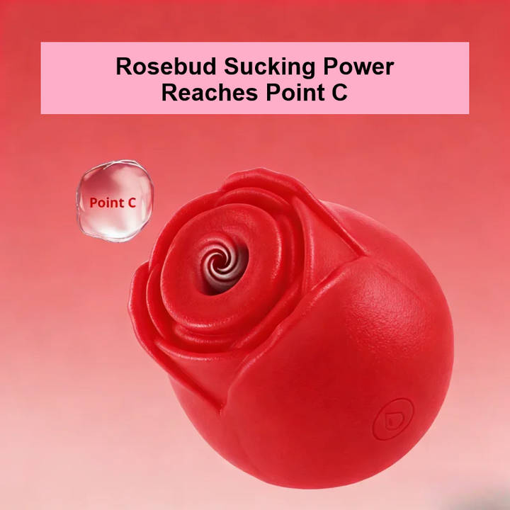 Rosebud Vibrator + Sucker Sex Toy